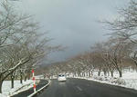 2011112114090000.jpg