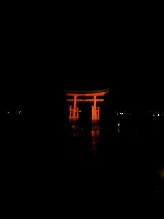 081102_183640.JPG