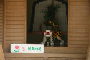 s-IMG_3420.jpg