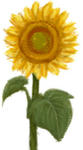 b3390fc3.jpg