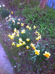 20110509181209.jpg