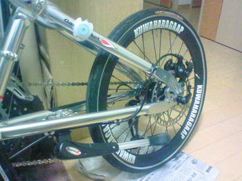 NEC_0020.jpg
