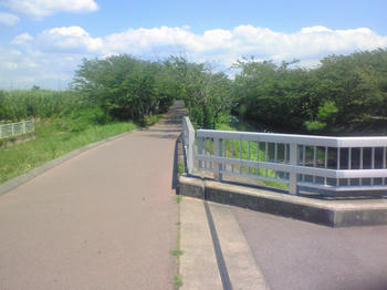 NEC_0023.jpg