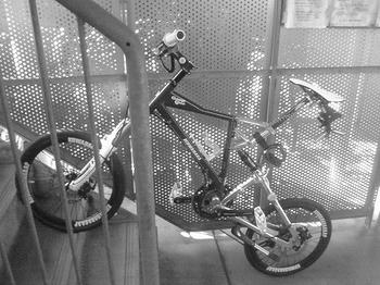 NEC_0025.jpg