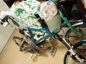 DSC00864.jpg