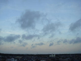 DSC00920.jpg