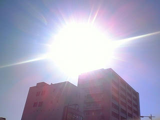 NEC_0050.jpg