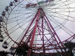 NEC_0097.jpg