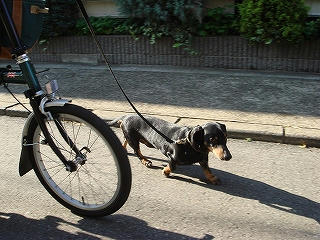 DSC01054.jpg
