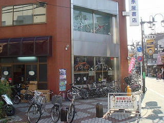 DSC01087.jpg