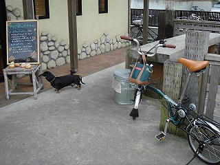 DSC01155.jpg
