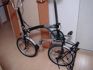 DSC01103.jpg