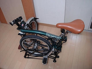 DSC01117.jpg