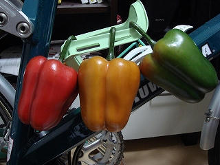 DSC01214.jpg