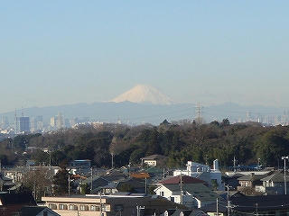 DSC01278.jpg