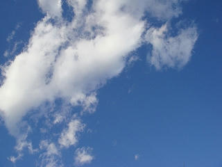 DSC01291.jpg