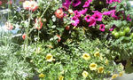 Image008.jpg