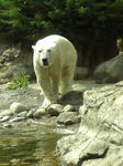 Image011.jpg