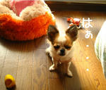 IMG_3692b.JPG
