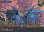 Aion0022.jpg
