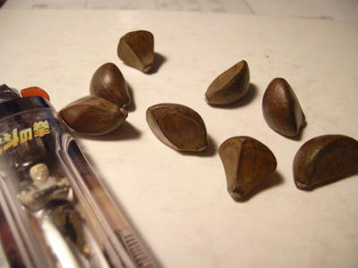 RIMG0016.JPG