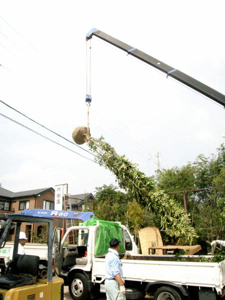 d51bc153.jpg