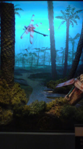 SN3D0252.jpg