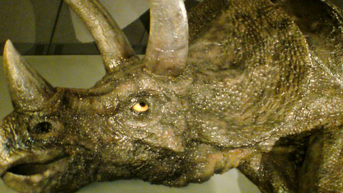 SN3D0253.jpg