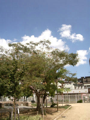 1d260095.jpg