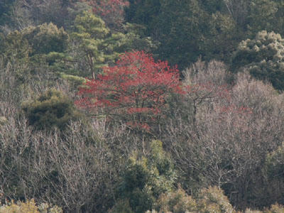 DSC_0920_2.jpg