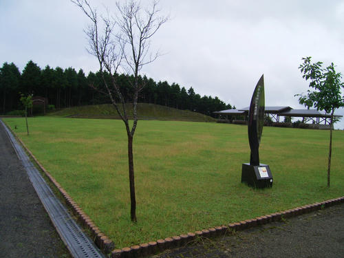 RIMG0054.JPG
