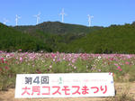 kosumosu1.jpg