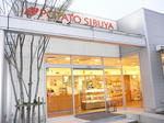 sibuya1.jpg