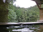 matsubagawa3.jpg
