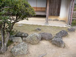 iwasaki2.jpg