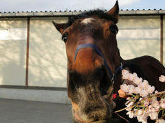 20100403Endy_1.jpg