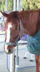 4012482_957856642_61small.jpg
