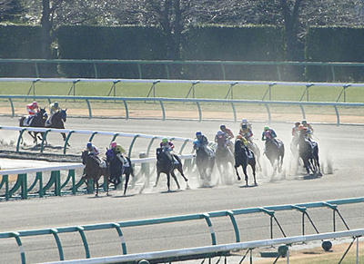 110110_kanae_5.jpg