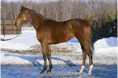 110222lecha.jpg