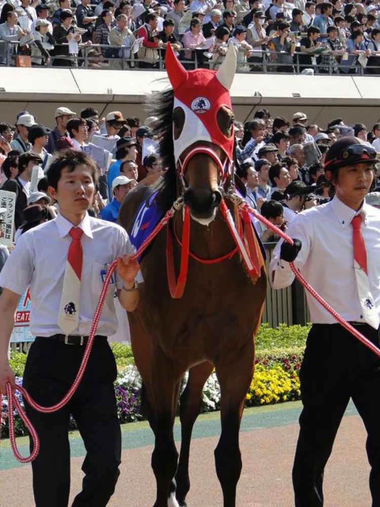 グランプリボス NHK