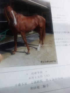 俺に惚れるなよ！