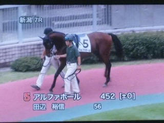 アルファホール
