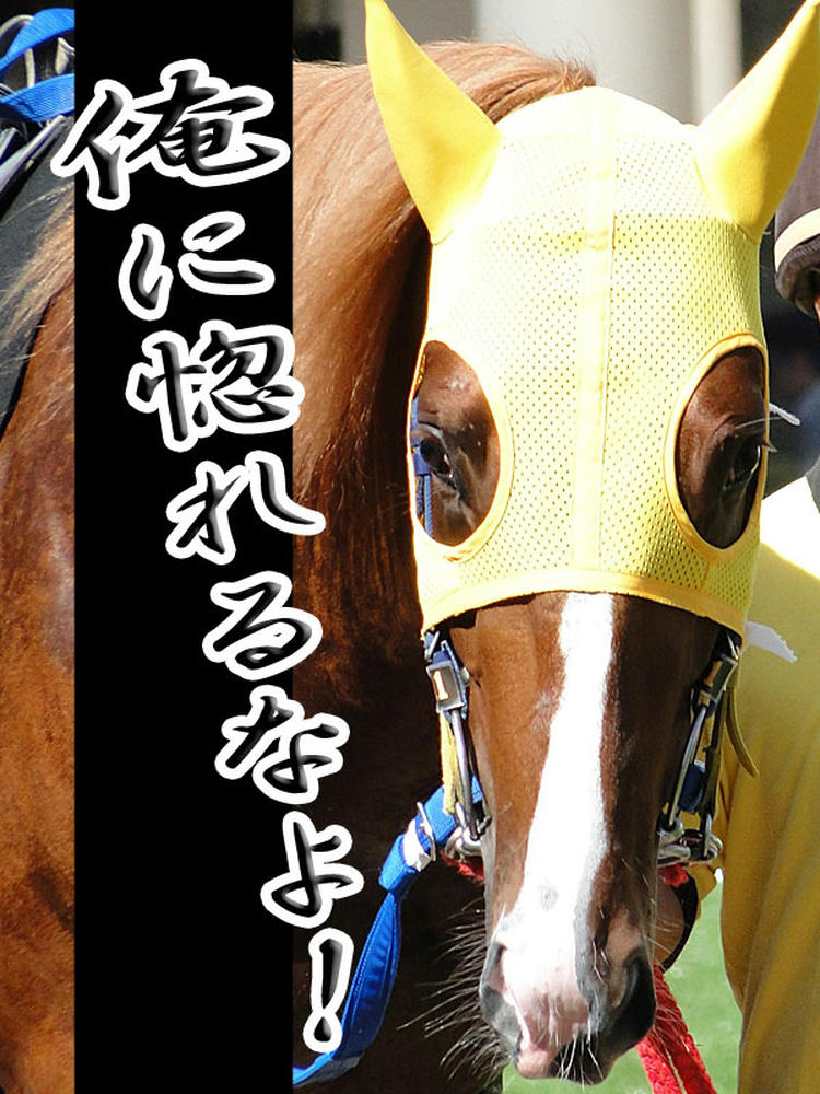 俺に惚れるなよ！