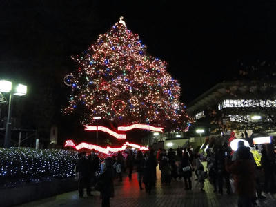 中山のクリスマスツリー