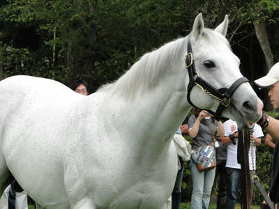 チチカステナンゴ2010秋