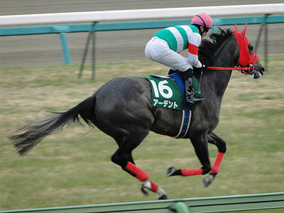 120115_11R_16are2.jpg