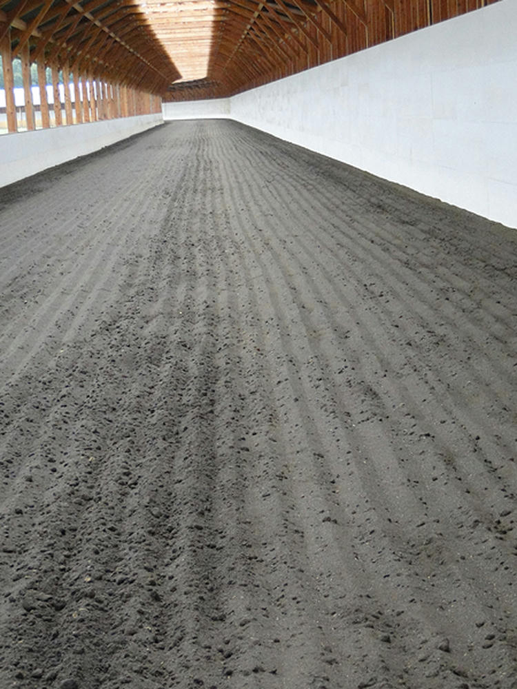 調教コース