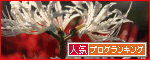 ランキング