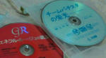 20100628205624.jpg