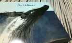 20101130221134.jpg